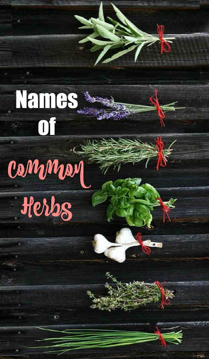 Tied herbs on a black background with words Names of Common herbs. 