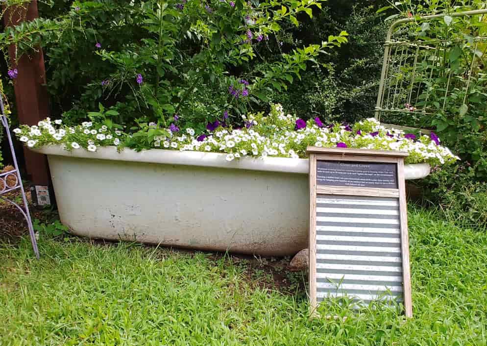 Plants growing in a bathtub at the Memphis Botanic Gardens.