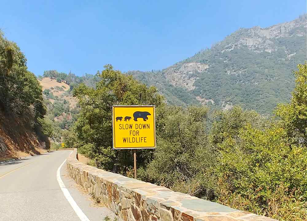 Mountain scene and bear sign.