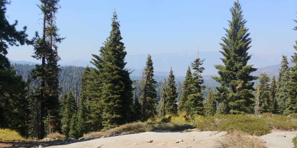 High elevation scenery shot in Sequoia National Park,