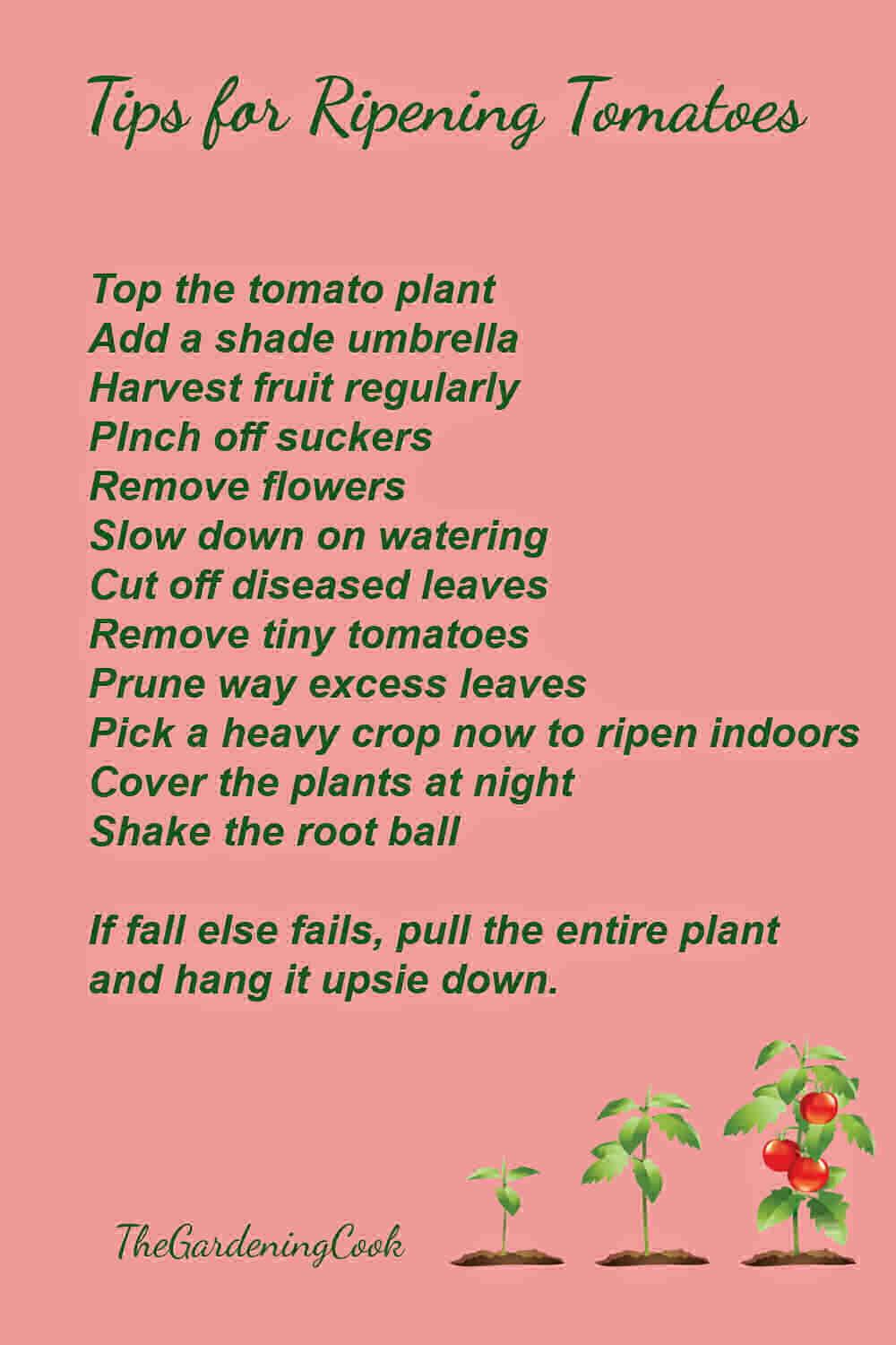 Printable with tips for ripening tomatoes on the vine.
