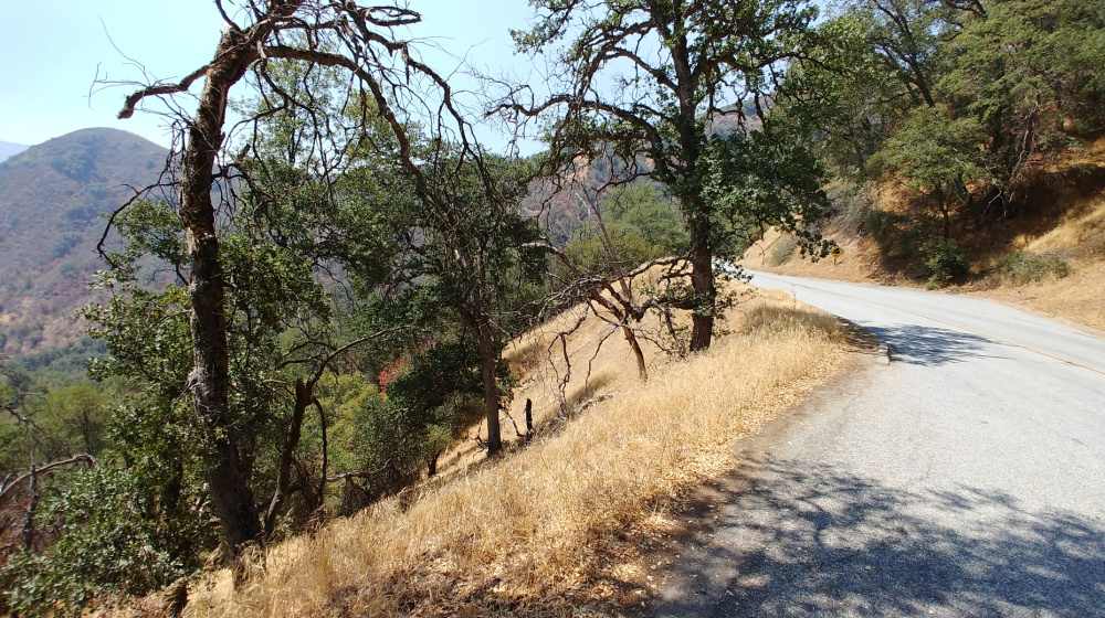 Road to the Sierra Nevada mountains