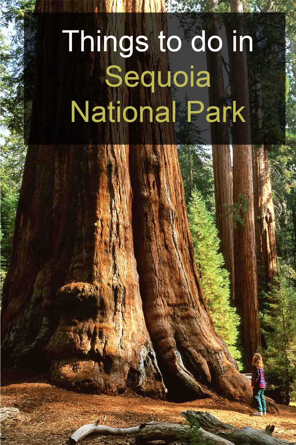 General Sherman Tree and words reading Things to do in Sequoia National Park.