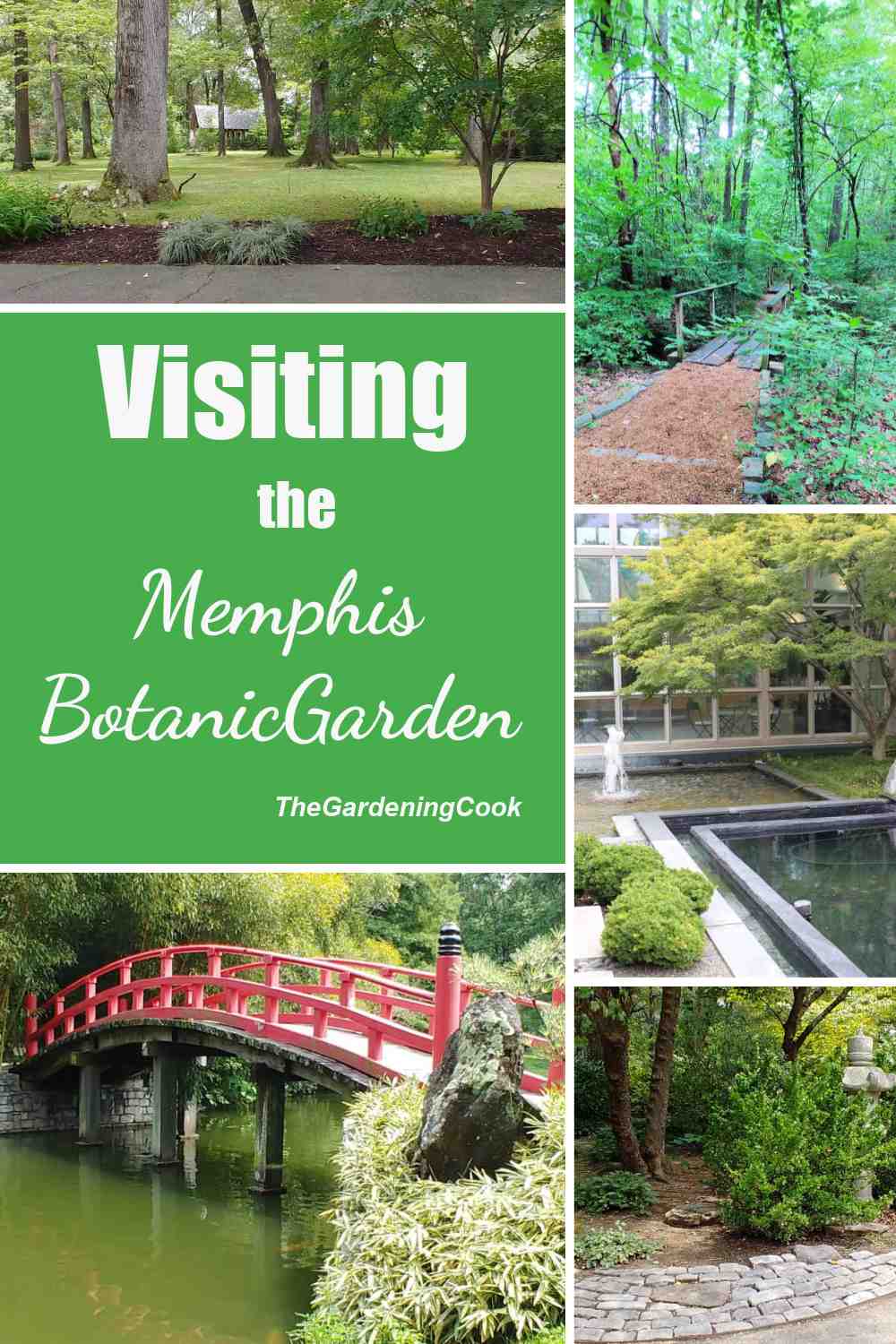 Pretty garden scenery in a post with words visiting the Memphis Botanic Garden.