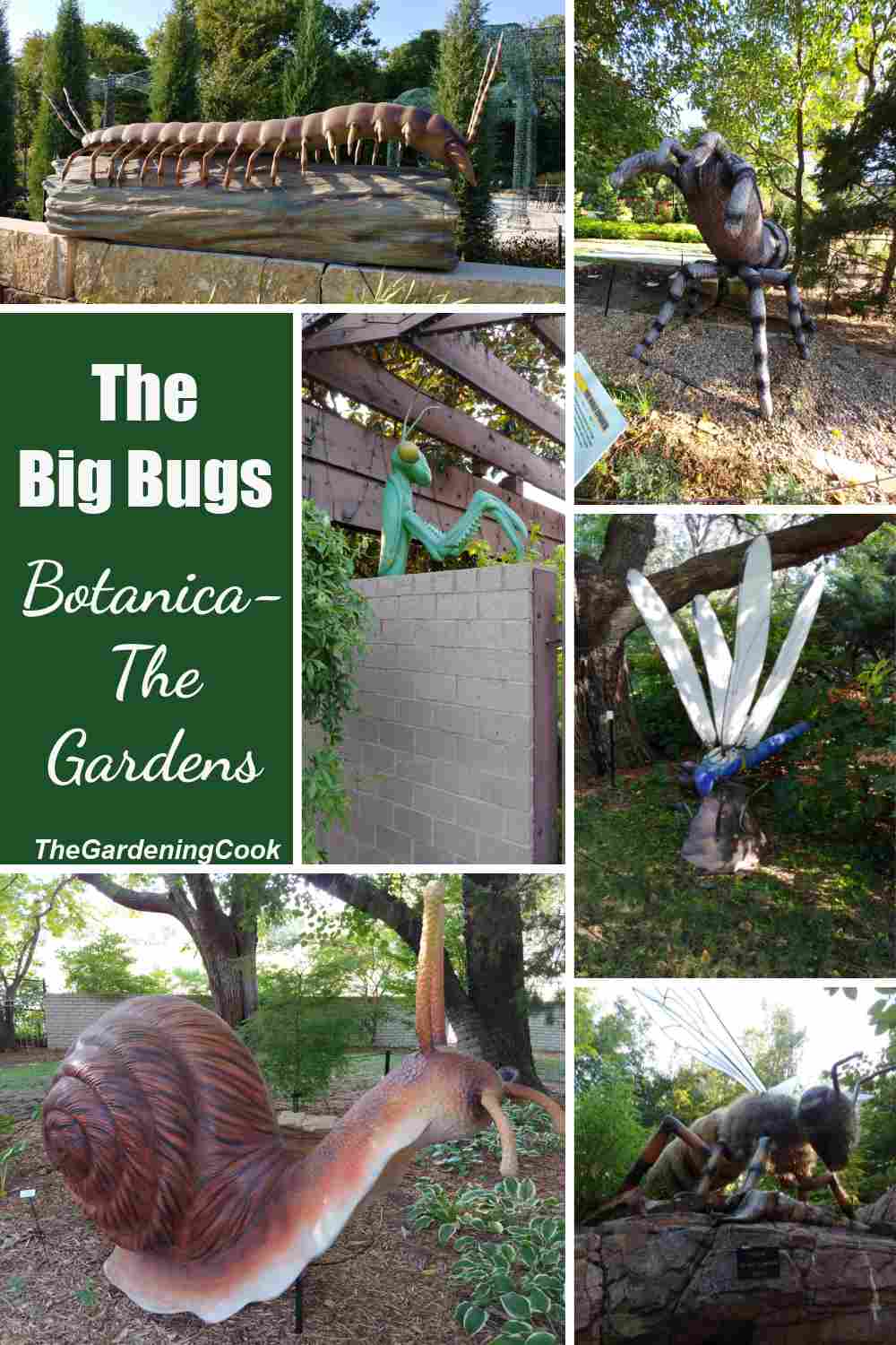 Giant bugs and insects in a collage with words The Big Bugs - Botanica The Wichita Gardens.