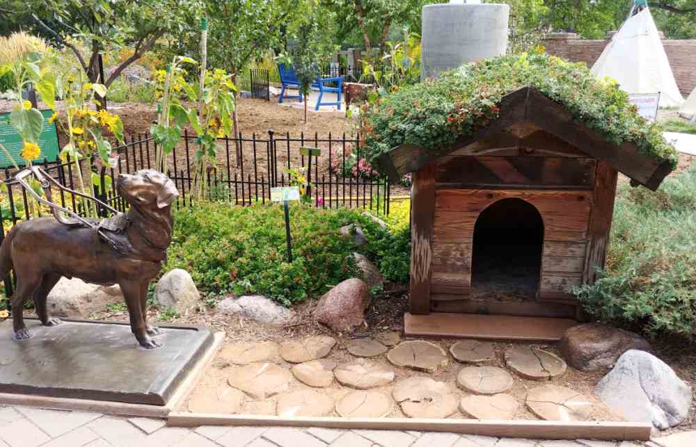 Bronze dog statue and doghouse with succulents on the roof.