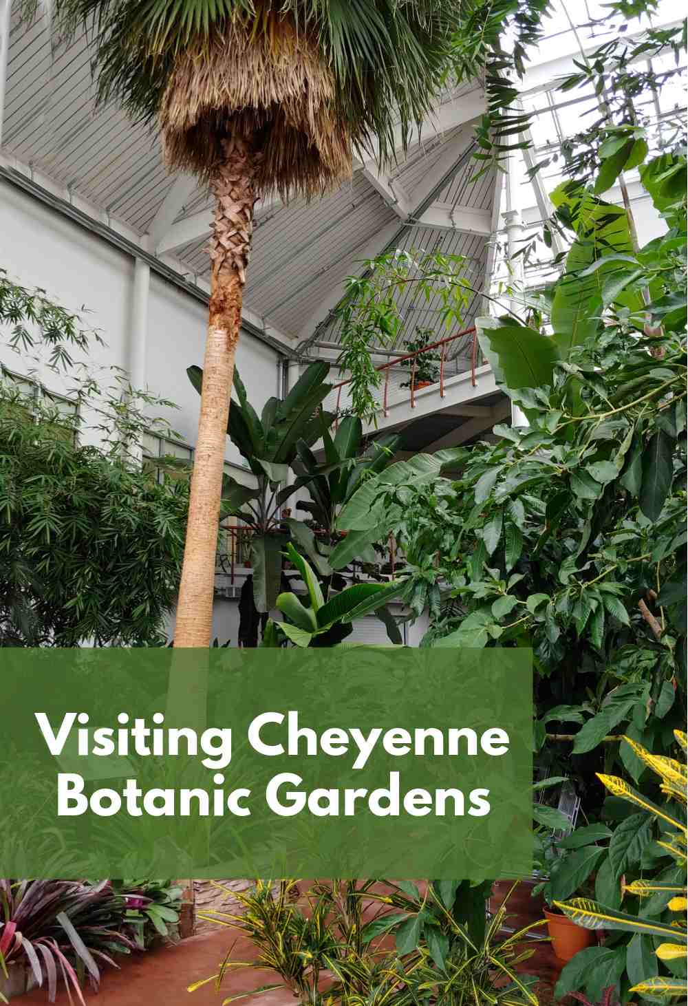 Conservatory with tropical plants and words Visiting Cheyenne Botanic Gardens.