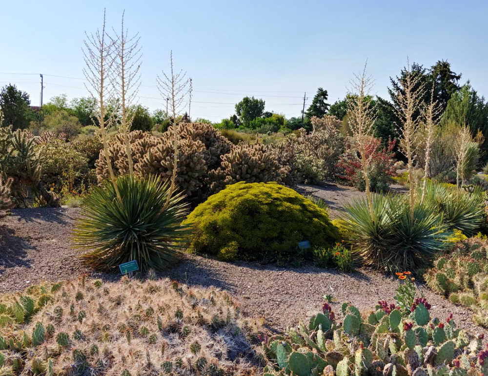 Garden bed at Orton Botanic Garden with drought tolerant and native plants.