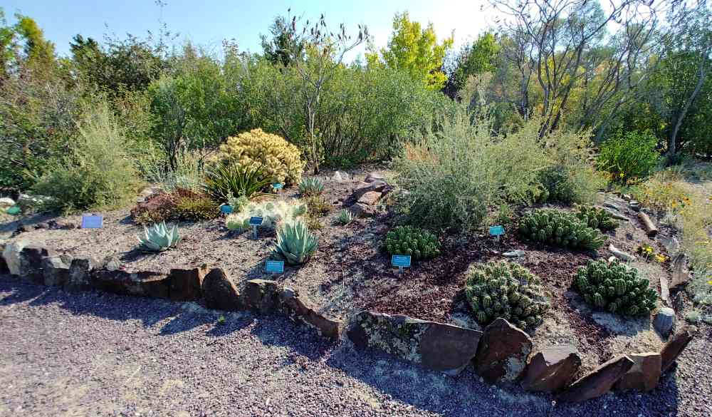 Cacti in a garden bed at Orton Botanic Garden in Idaho.