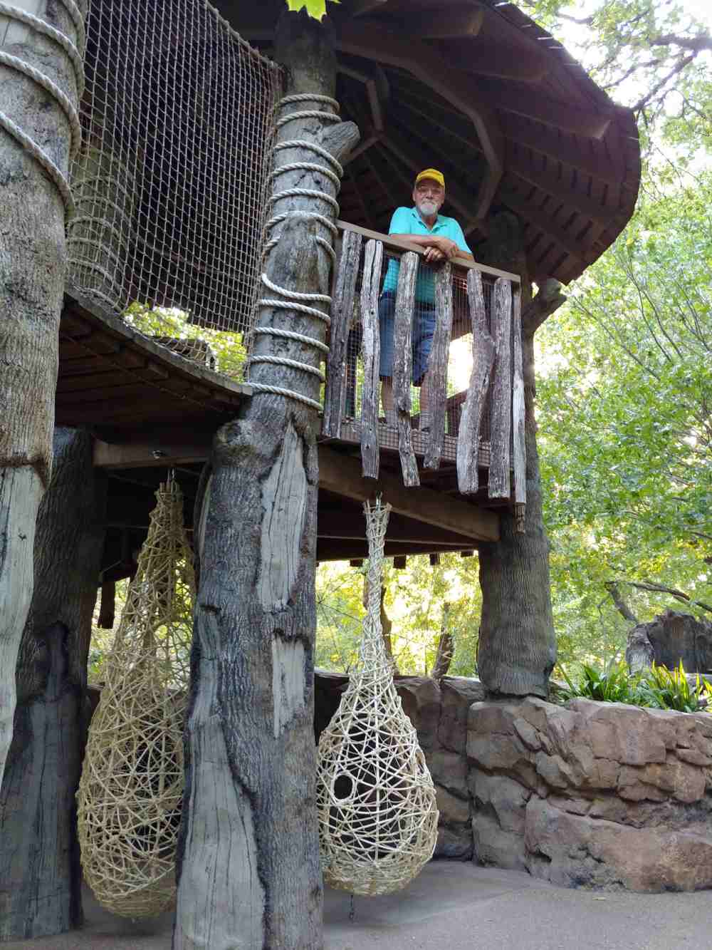 Man standing in a large treehouse.