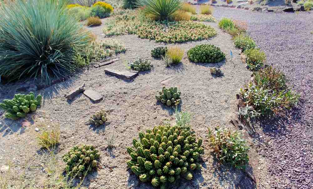 Cactus garden bed at Orton Botanic Garden in Idaho.