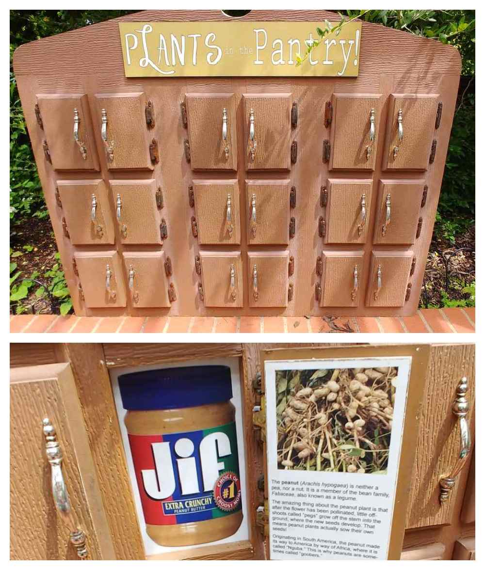 Wooden cabinet teaching exhibit.