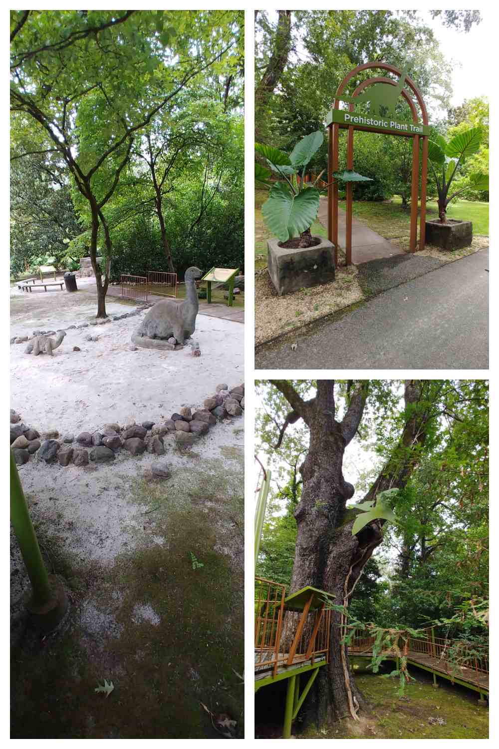 Dinosaur statues, entry arbor and tree in a collage.