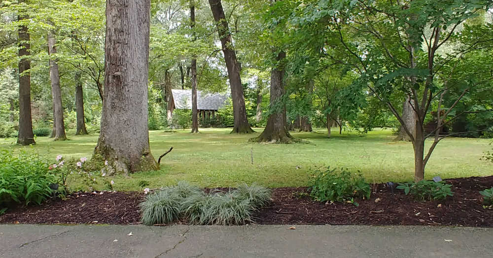 Walking trail in Memphis Botanic Garden.
