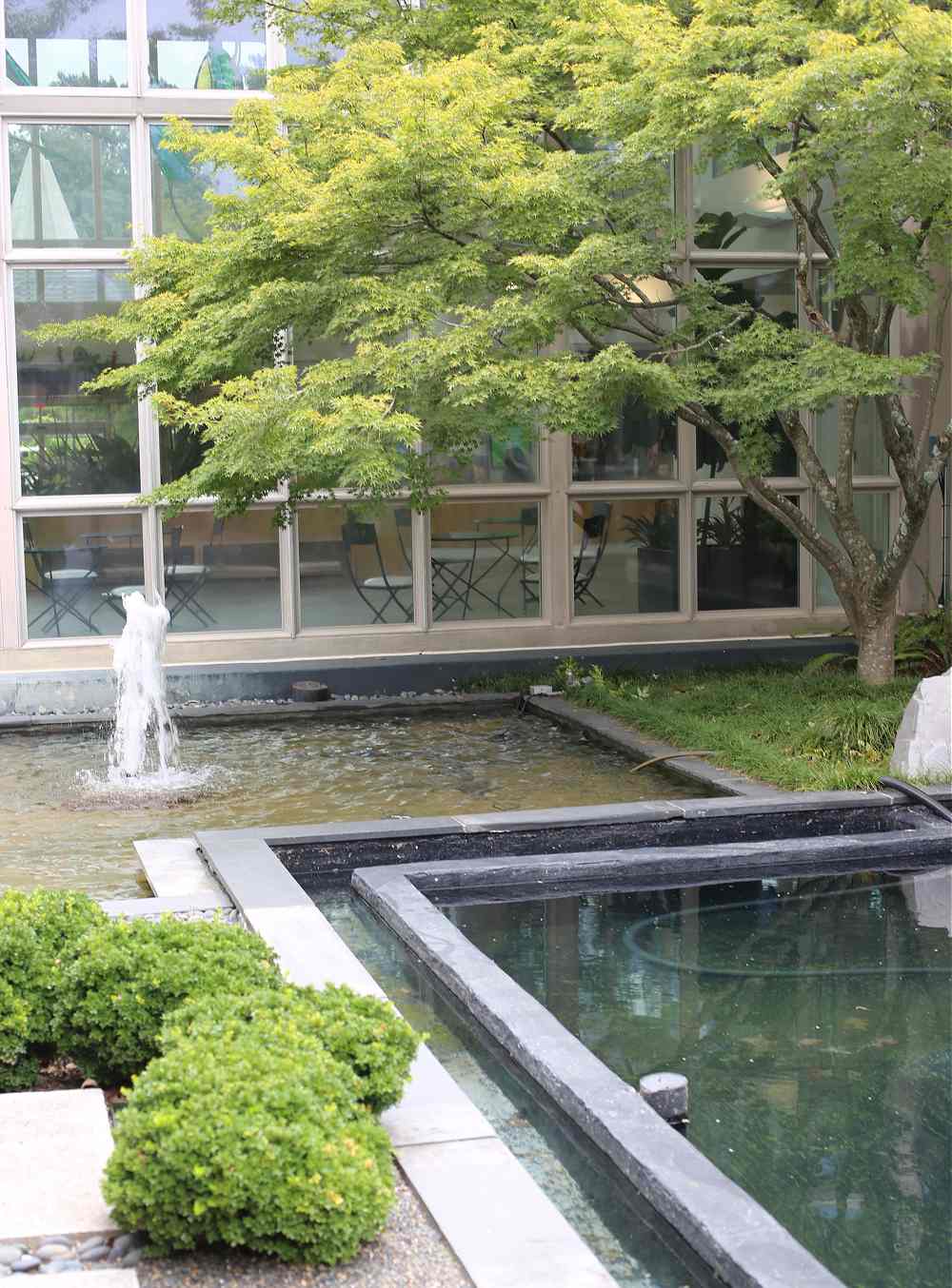 Water garden scene with trees.