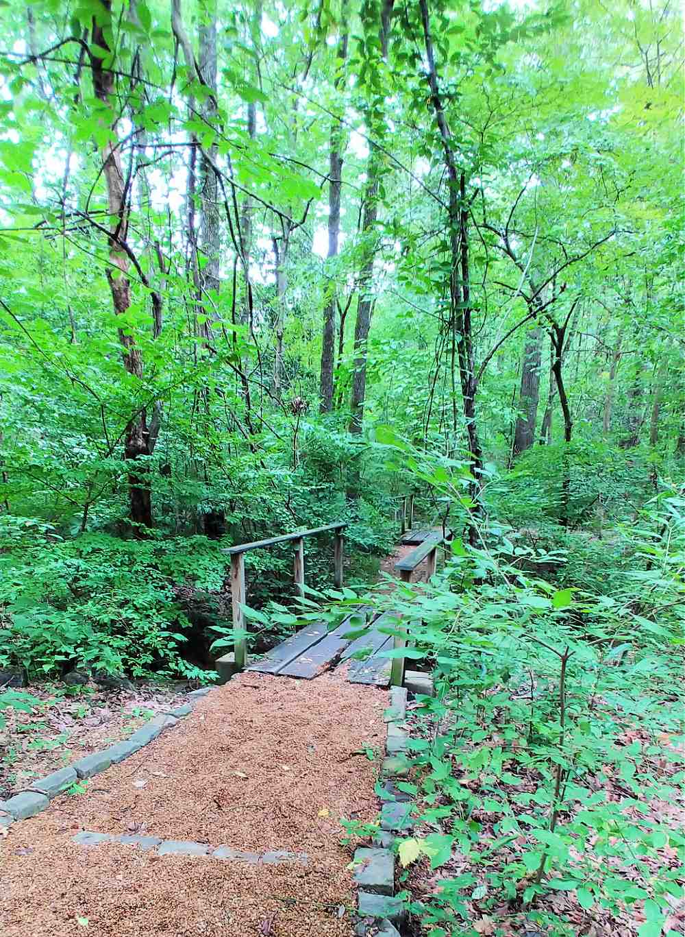 Paved woodland trail at Memphis Botanic Garden