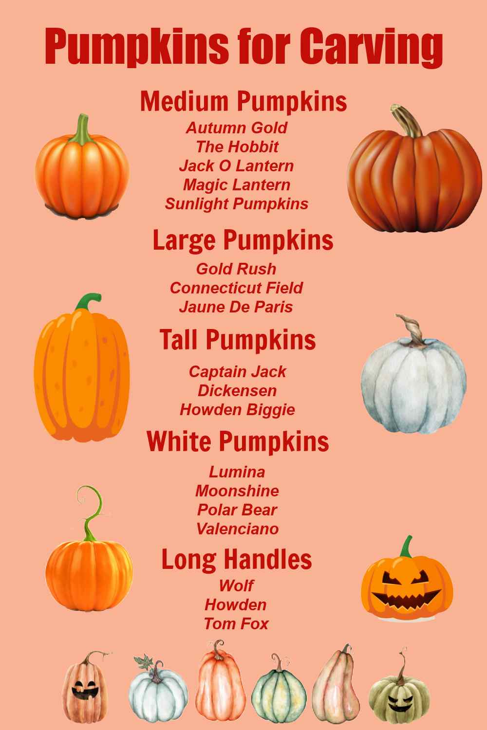List of pumpkins for carving with images.
