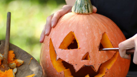 Best Pumpkins for Carving – Tips for Picking the Perfect Pumpkin