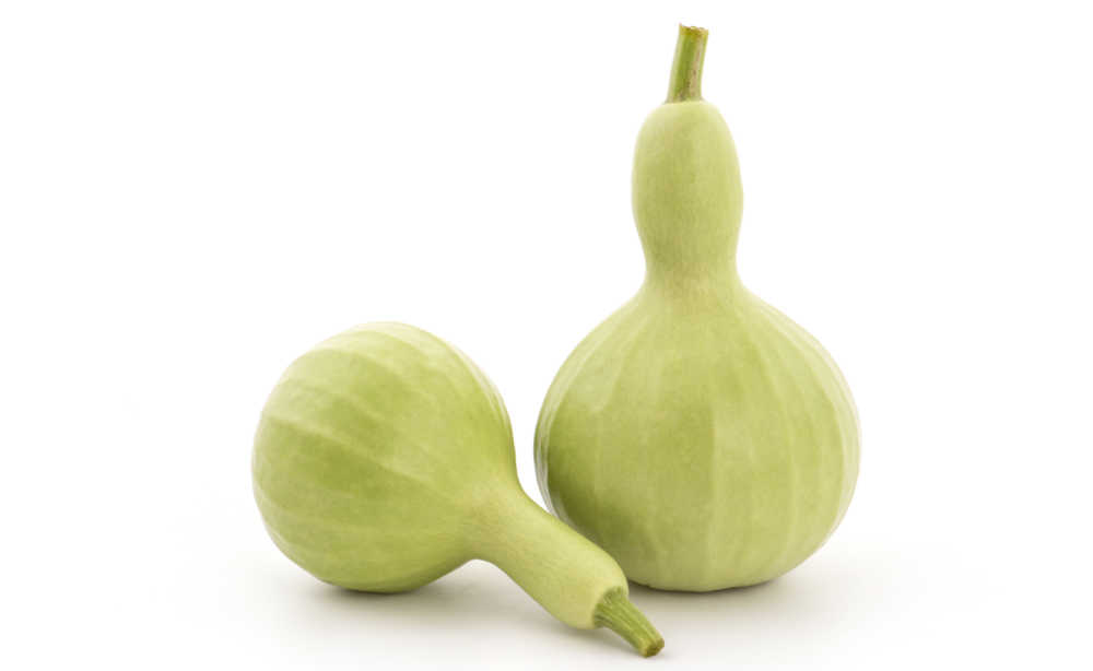 Bottle gourds on a white background.