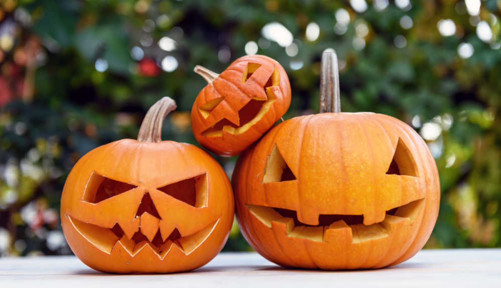 Three carved pumpkins.