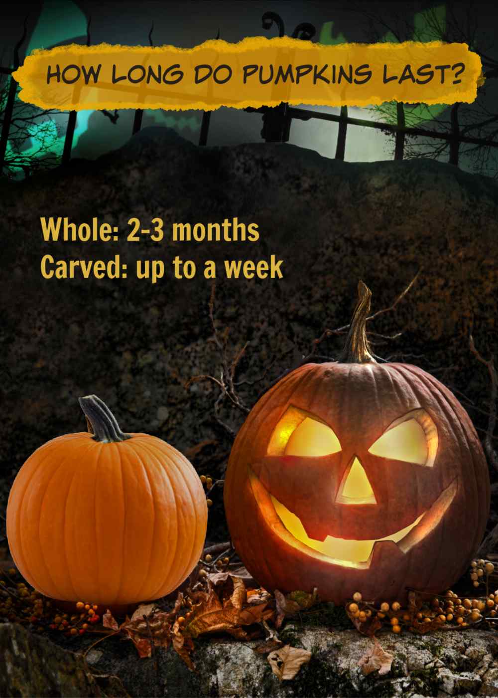 Carved and uncarved pumpkin in a dark setting with words How Long do Pumpkins Last?