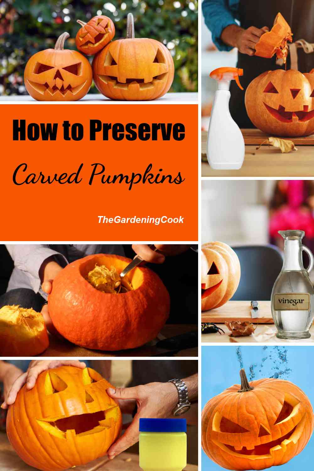 Pumpkins and pumpkin carving in a collage with words How to preserve carved pumpkins.
