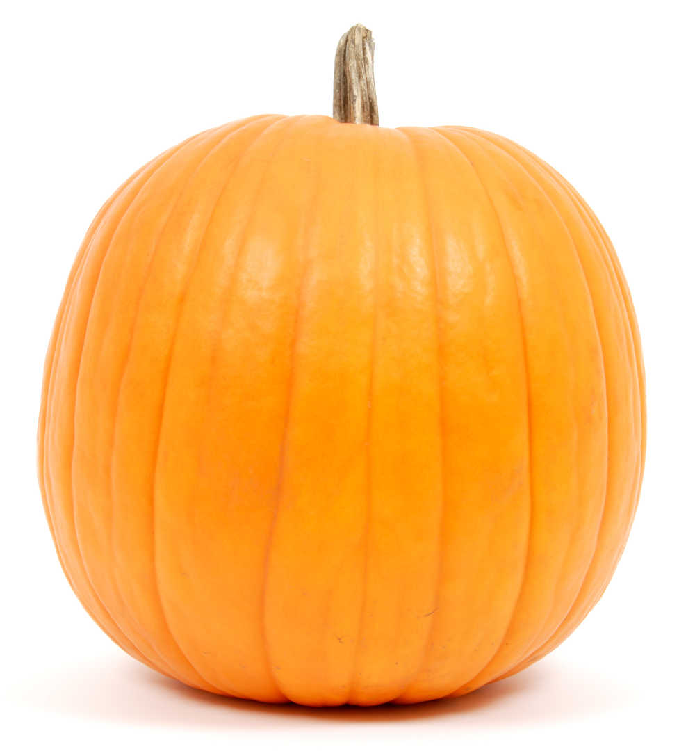 Large pumpkin on a white background