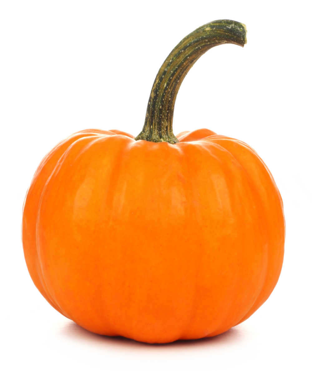 Pumpkin with a long handle on a white background.