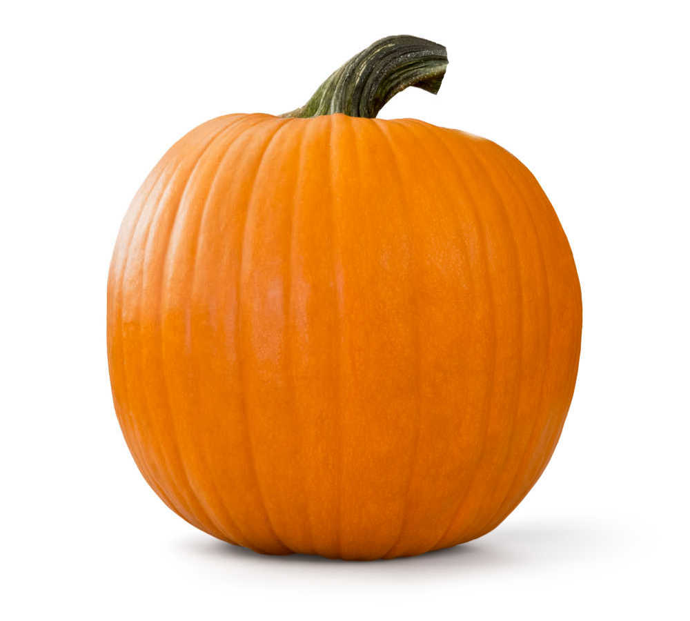 Medium sized pumpkin on a white background.