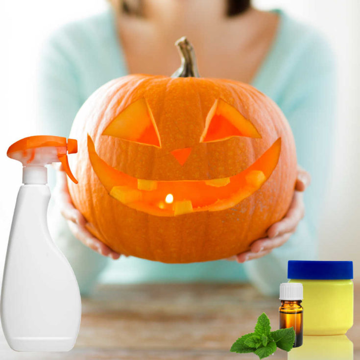 How to Preserve Carved Pumpkins 