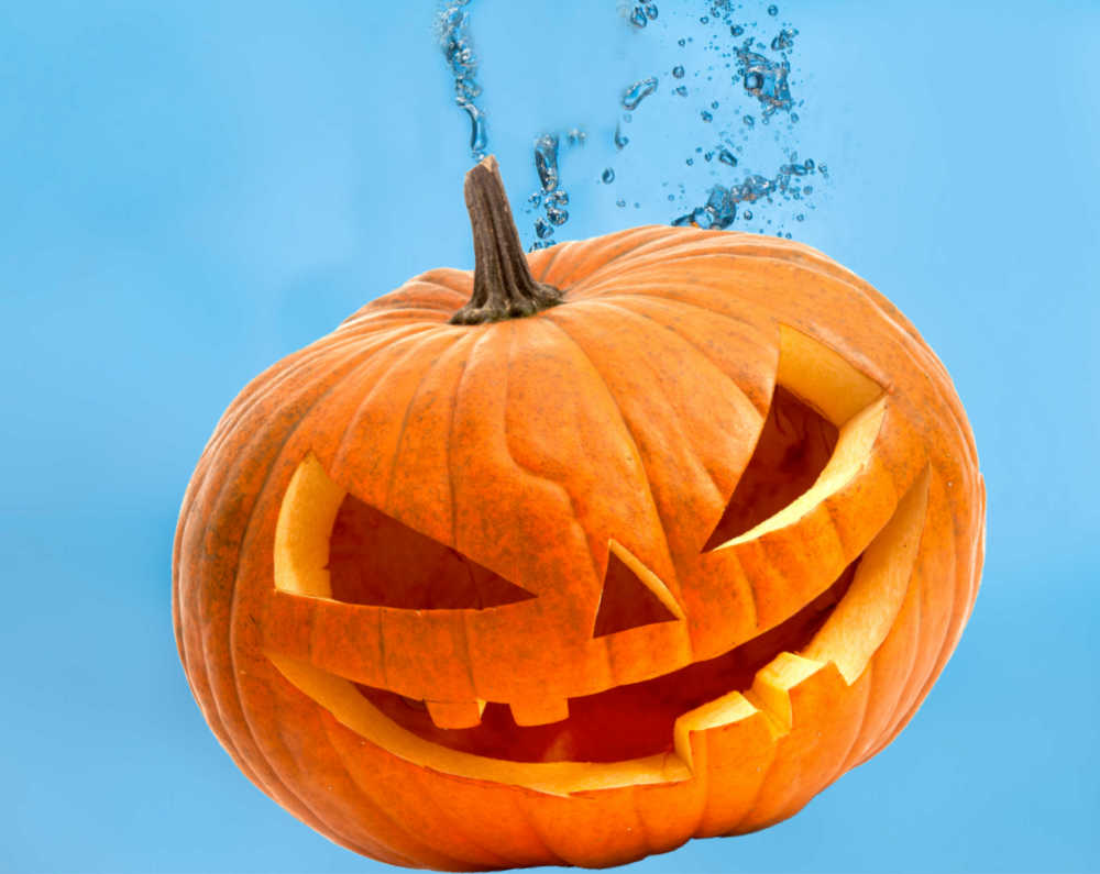 Pumpkin in bleach and water to preserve it.