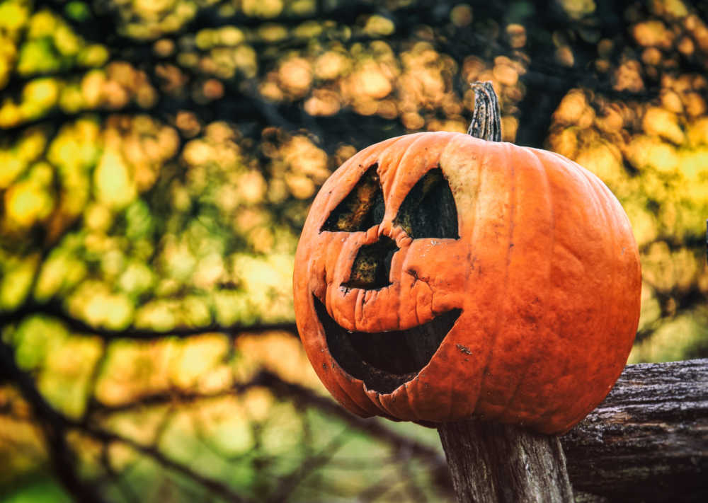 Rotting pumpkin on a post.