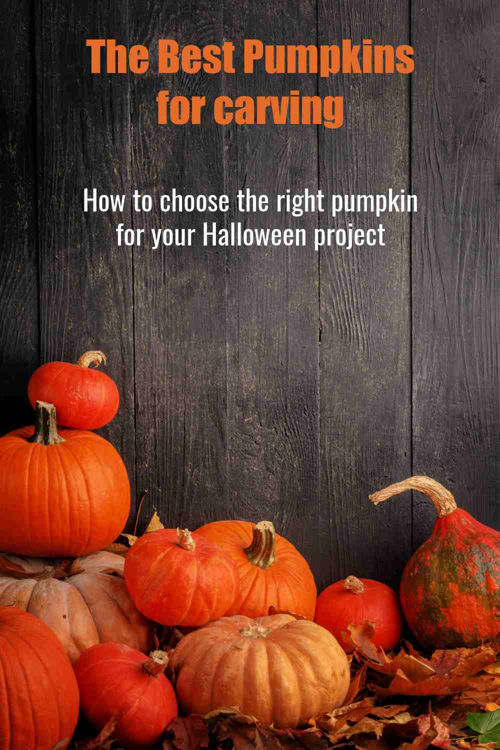 Stack of pumpkins and words The best pumpkins for carving, how to choose the right pumpkin for your Halloween project.