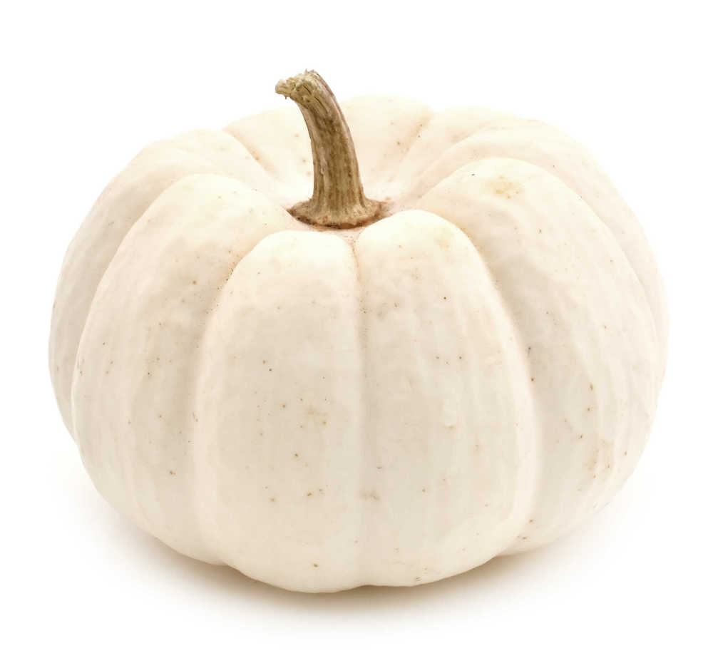 White pumpkin for carving on a white background.