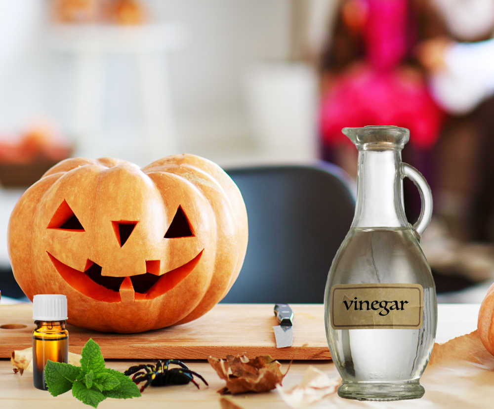 Bottle of white vinegar and peppermint oil near a carved pumpkin. Environmental ways to preserve pumpkins.