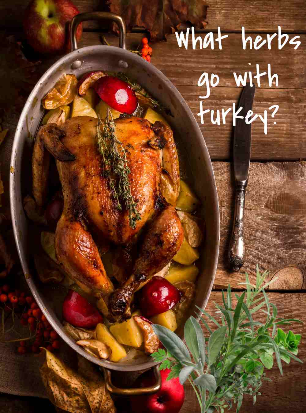 What Herbs Go with Turkey? Turkey in a pan with vegetables and fresh herbs with words - What herbs go with turkey.