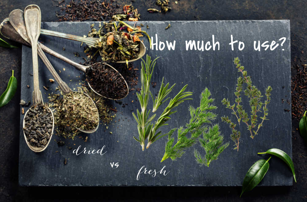 How much fresh herbs should I use? Dried hers and fresh herbs on a slate board with words How much to use?