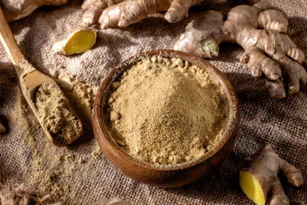 Ginger root and ground ginger. Ginger root and ground ginger on burlap.