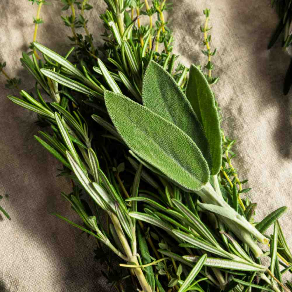 Thanksgiving herbs on a tea towel Herbs that go wtih turkey - Sage, rosemary and thyme on a white tea towel