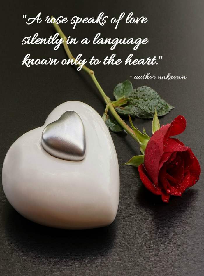 red rose and heart shape with the saying - "A rose speaks of love silently in a language known only to the heart." - author unknown