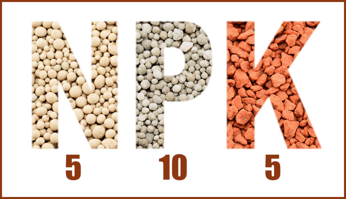 Fertilizer ratio with a high phosphorus content.