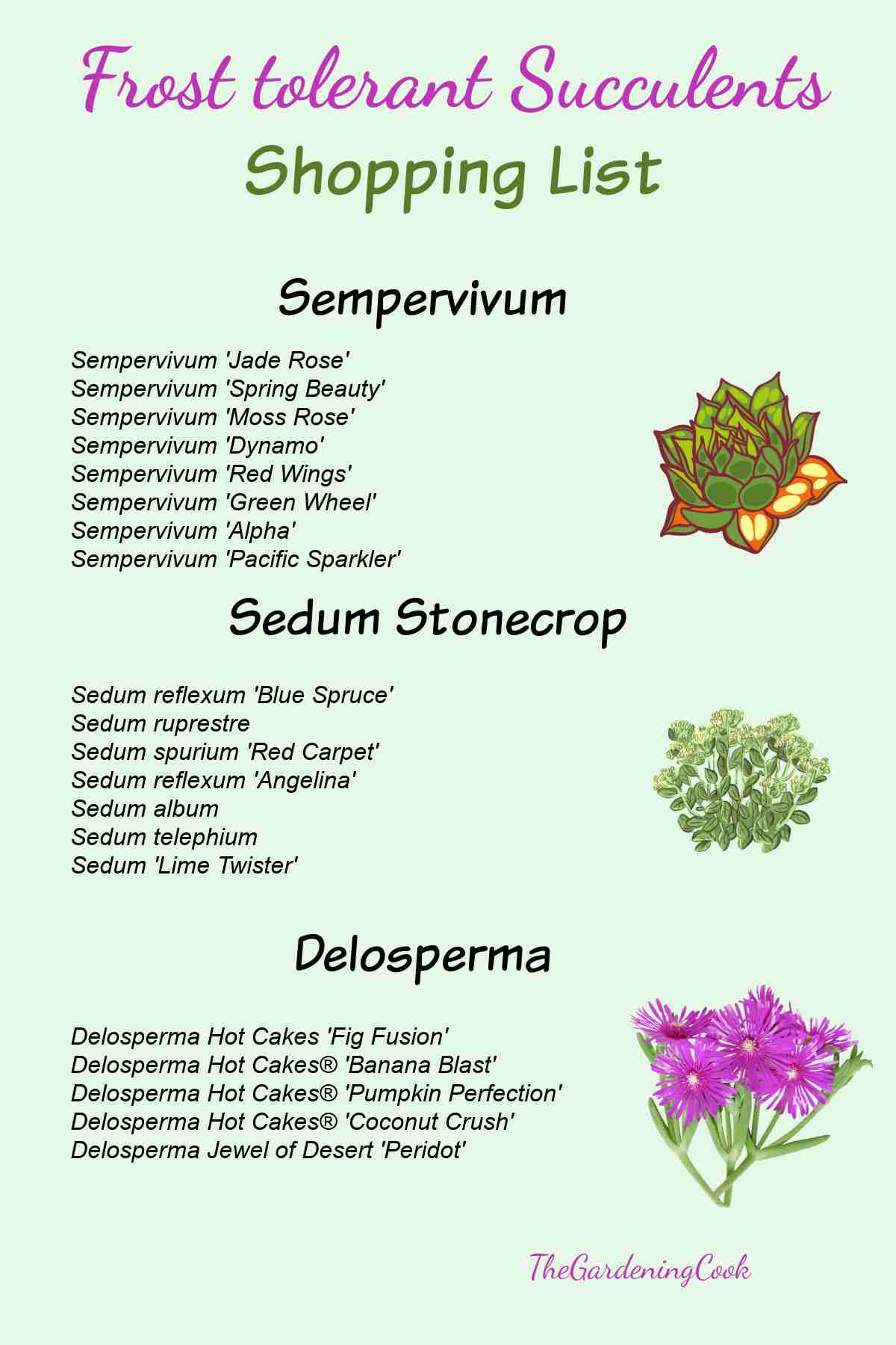 Pictures of hardy succulents with words Frost Hardy Succulents shopping list.